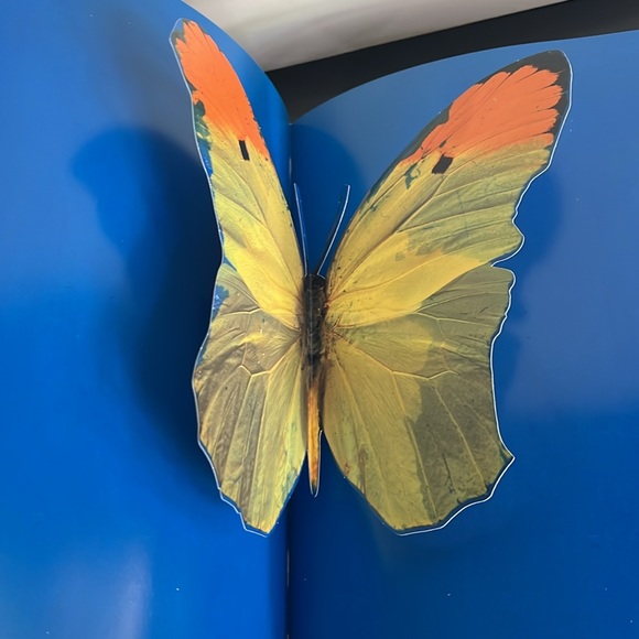 DAMIEN HIRST ‘I WANT TO SPEND THE REST OF MY LIFE EVERYWHERE, WITH EVERYONE, ONE - Picture 14 of 17